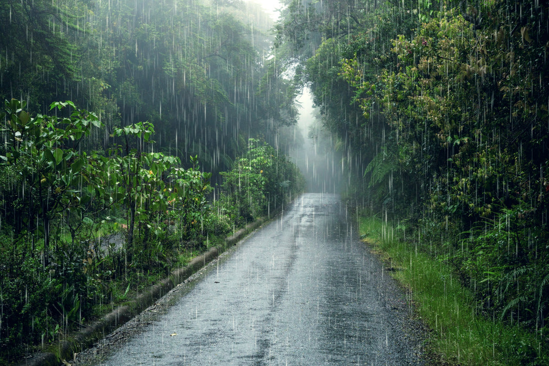 How to Prepare Your Home for the Monsoon Season